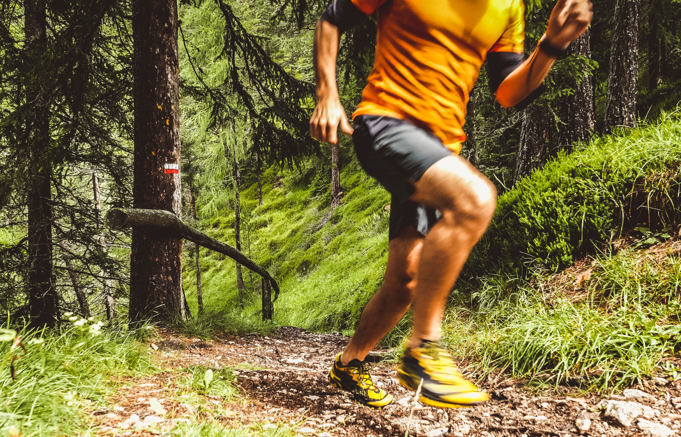 How To Burn Fat - 8 Effective Methods