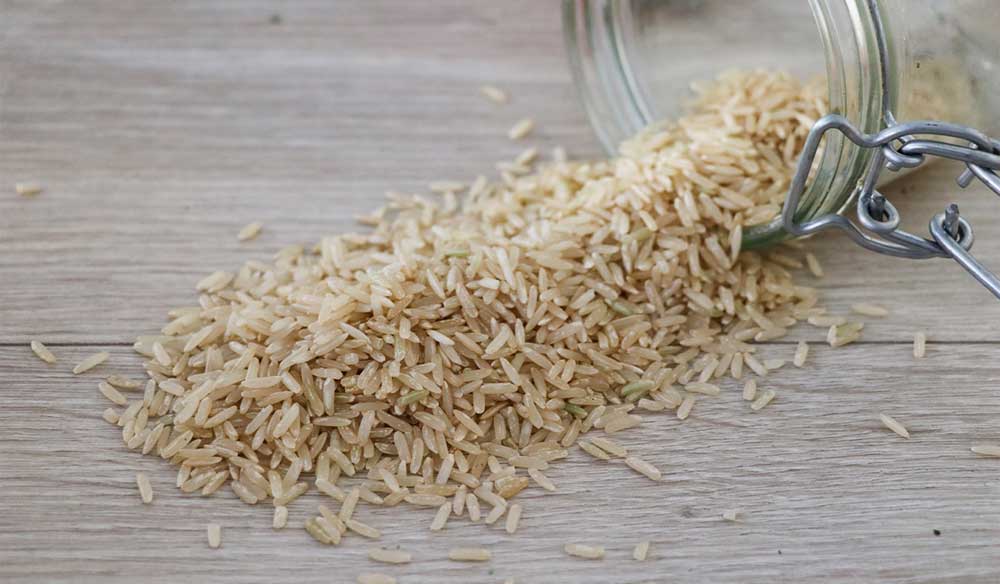 The endurance athlete’s guide to fibre