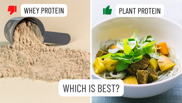 Whey Protein VS Plant Protein - Which Is Best?
