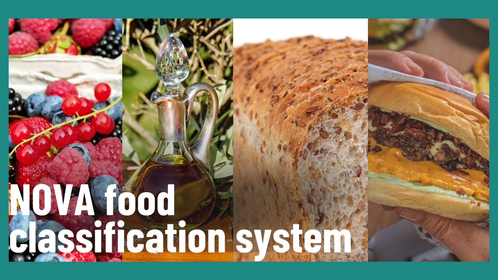 Box Food Classification NOVA Food Classification: Simplified | 33Fuel