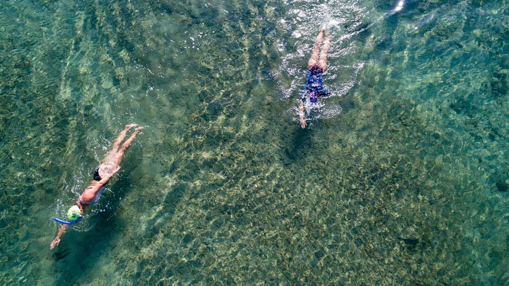 Protein for endurance athletes