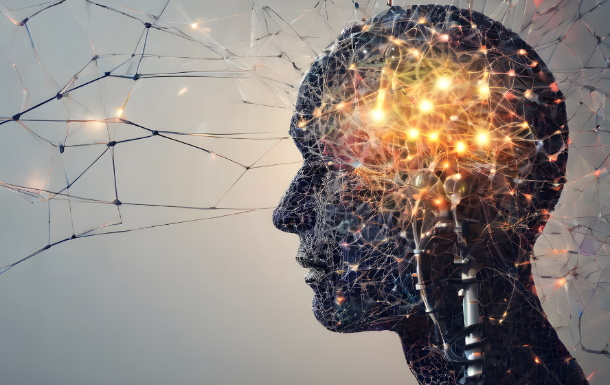 Creatine and the Brain: Memory, Mental Energy and the Research Active People Should Know