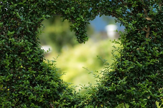 Heartbeats per mile