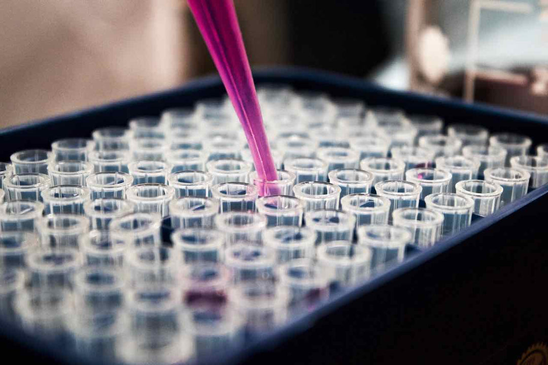 Is Your Sports Nutrition Ultraprocessed?