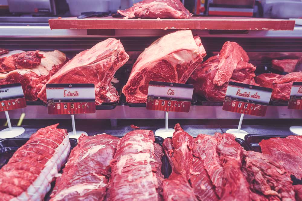 The Carnivore Diet: The Good, The Bad and The Ugly