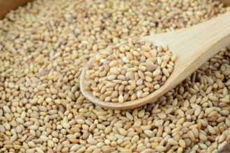 Organic Sesame Seeds