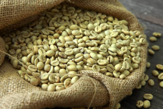 Organic Green Coffee