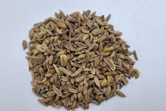 Organic Pumpkin Protein