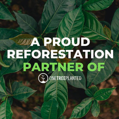 Plant based protein powder natural protein powder 33fuel reforestation
